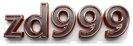 zd999 logo
